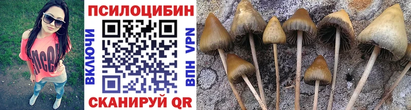 Псилоцибиновые грибы мухоморы  Камышлов 