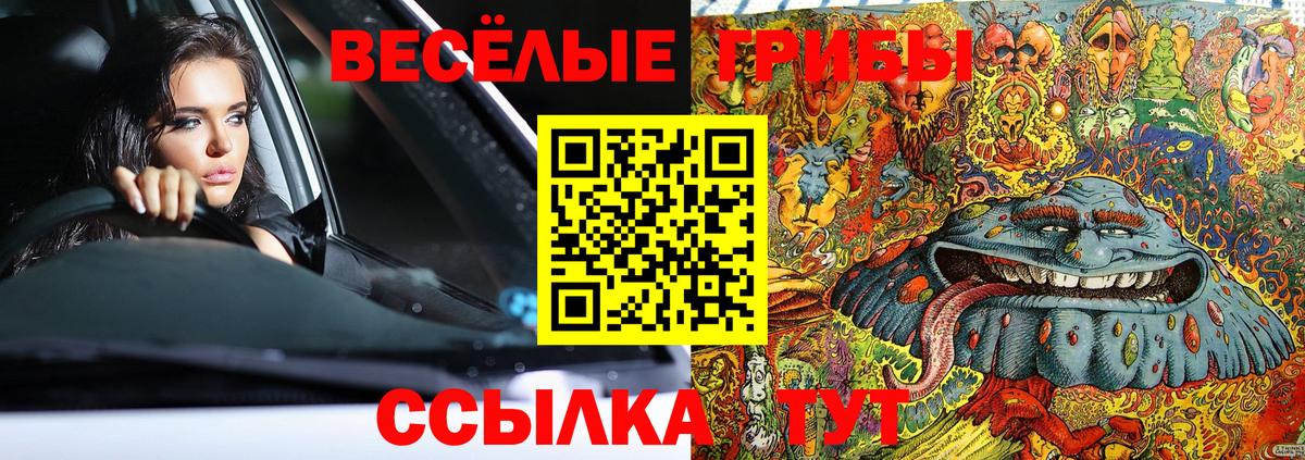 Галлюциногенные грибы GOLDEN TEACHER  как найти   Камышлов  Вход с VPN 