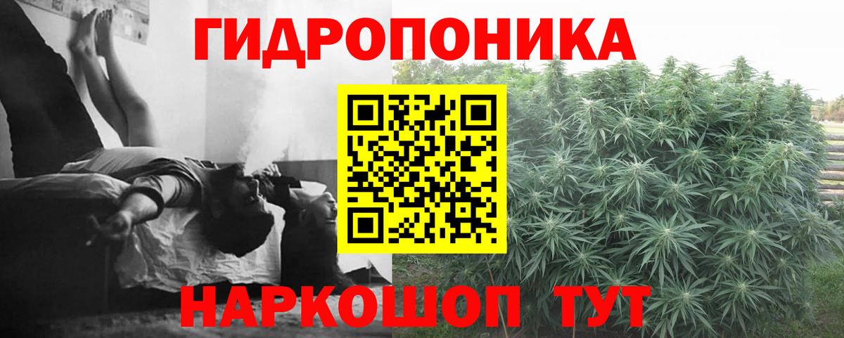 Марихуана планчик  Конопля Amnesia  Камышлов  Бошки Шишки план  Марихуана Amnesia 